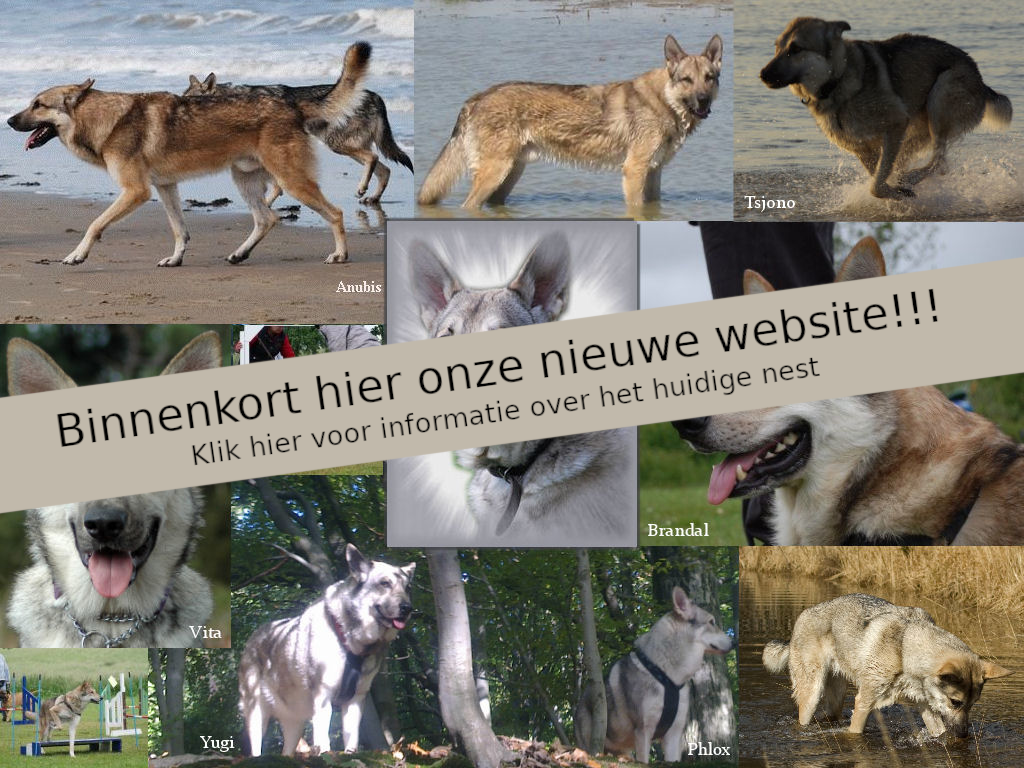 Klik hier